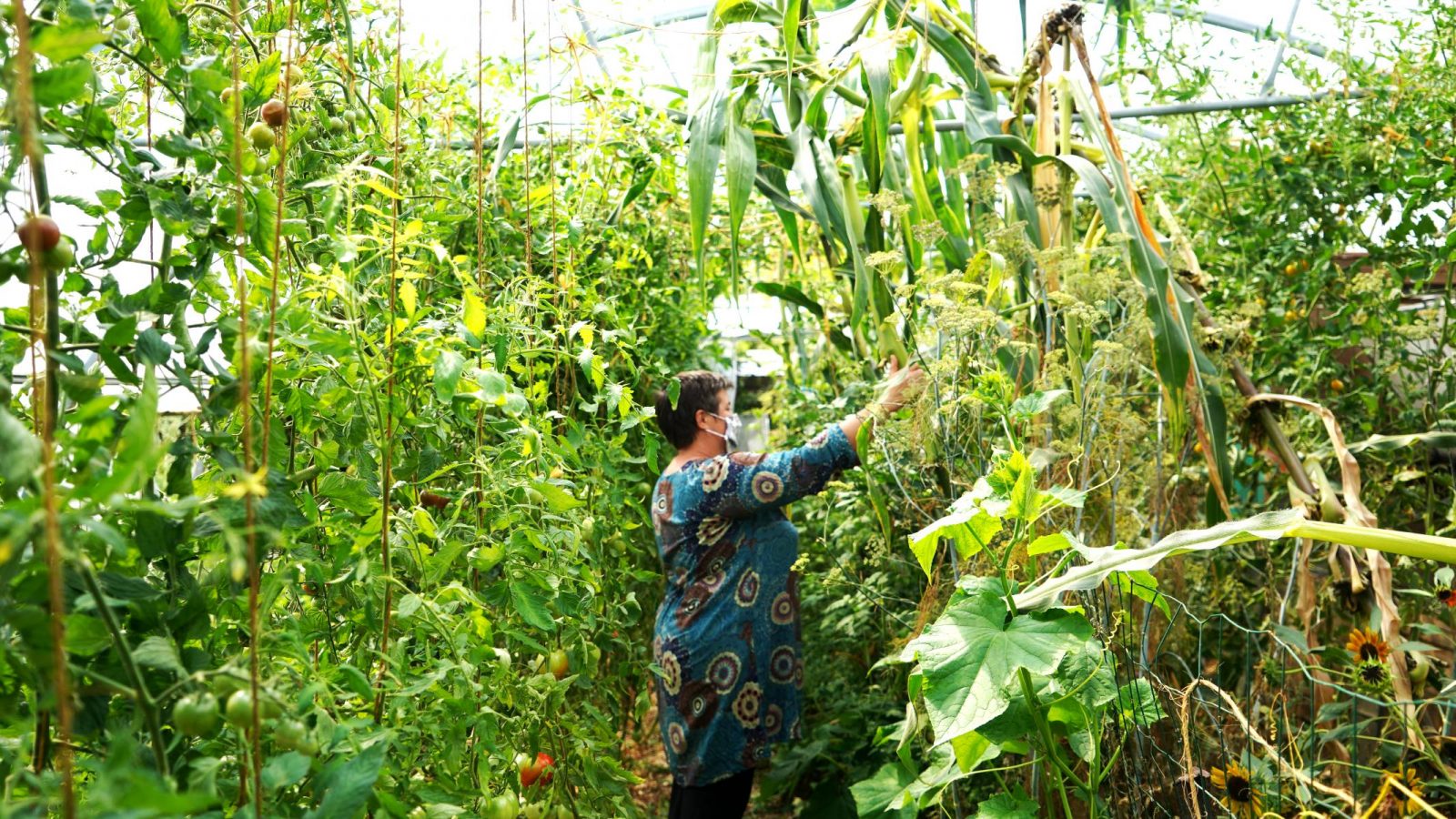 Erwachsenen-Workshop Permakultur Naturgarten Hühnerbaum Oise Bauernhof
