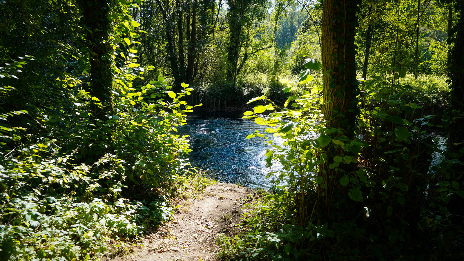 Balade au bord du Thérain à Maysel