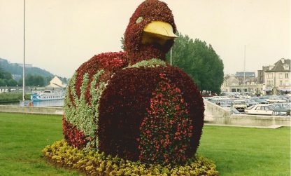 The Creil duck