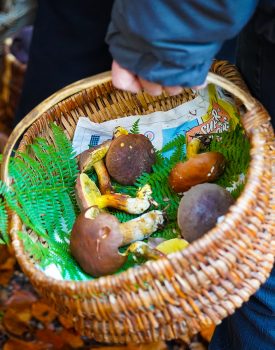 Oproepen voor projecten