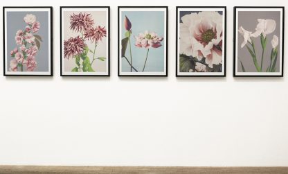 Tentoonstellingen van dit moment