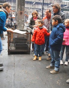 La Clouterie Rivierre