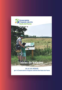 Ideas for nature walks
