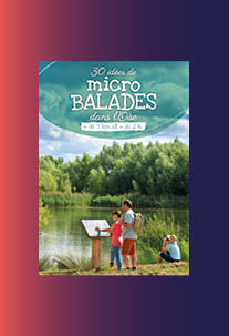 30 micro-walks