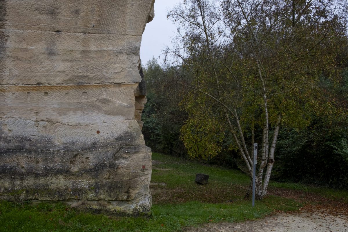 Le mur d'escalade du Larris.
