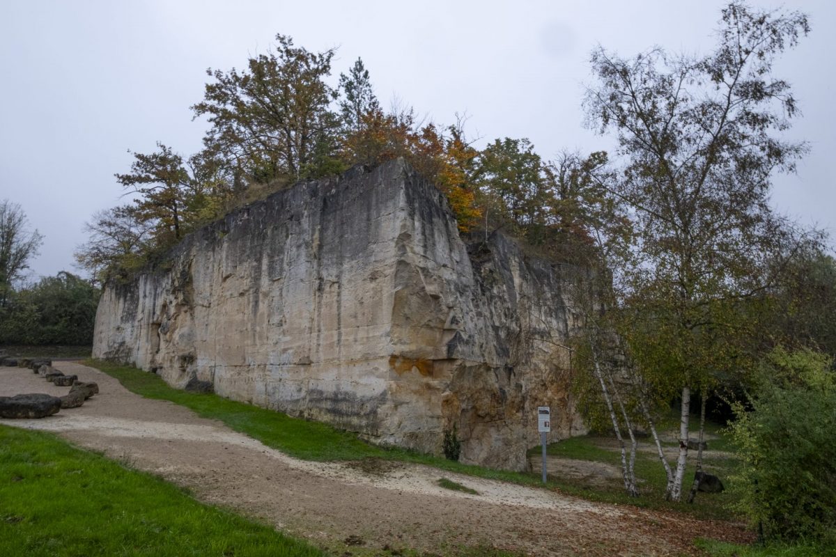 Le mur d'escalade du Larris.