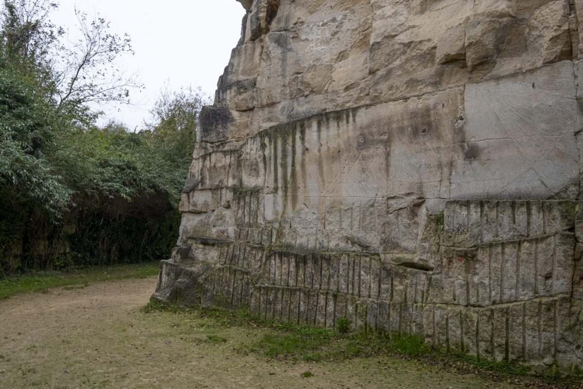 Le mur d'escalade du Larris.