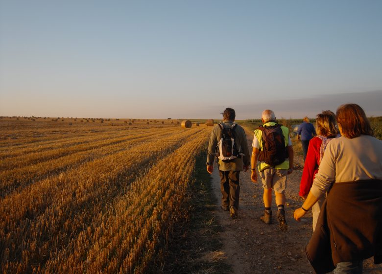 Entre campos y valles