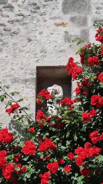 Visite guidée " Senlis à la jumelle, une découverte insolite du patrimoine "