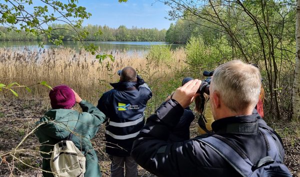 Visite de la réserve de l'Ois'eau - Festival de l'Oiseau