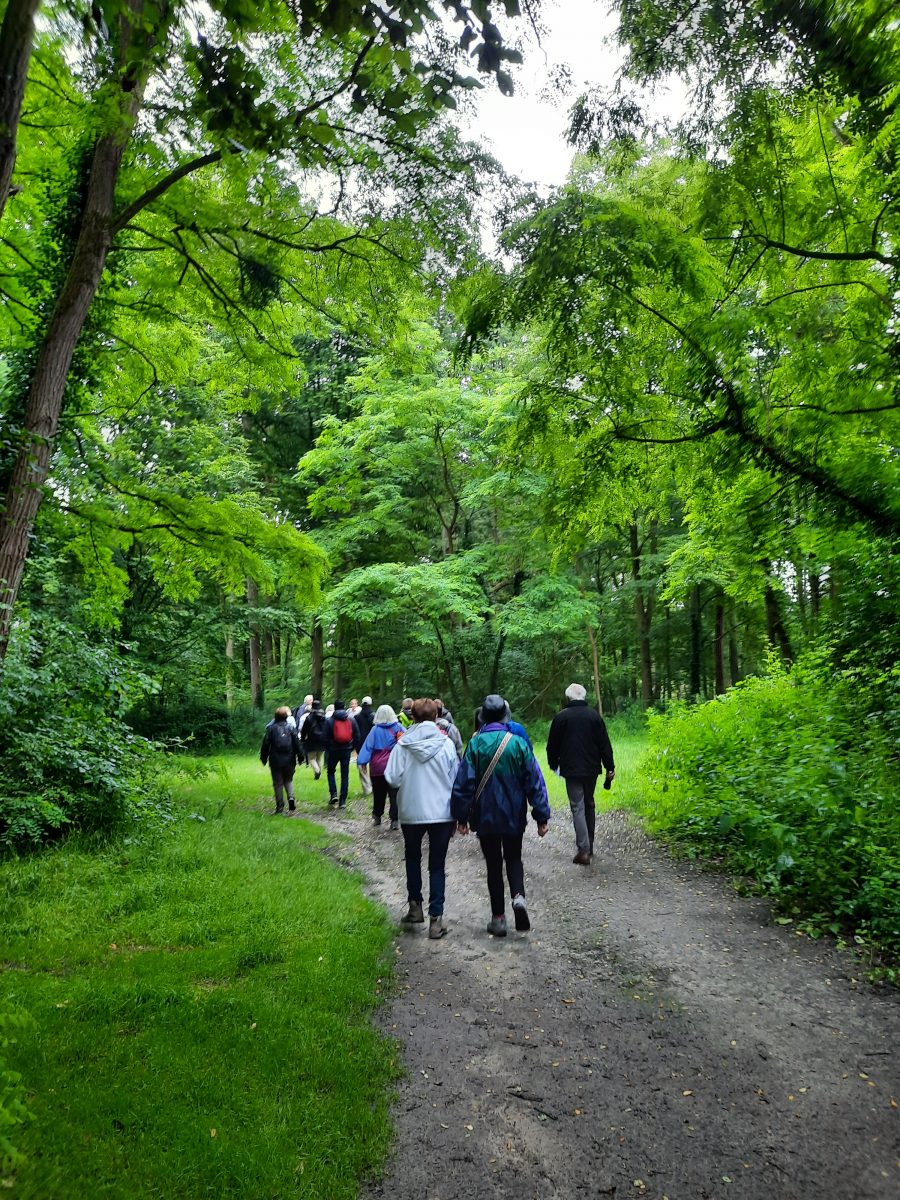 Sortie découverte sur le Sentier « Du bois au marais »