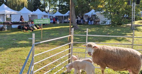 Fête du terroir à Orry-la-Ville