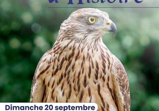 Journées du patrimoine | Saint-Leu d&rsquo;Esserent: 900 ans d&rsquo;Histoire