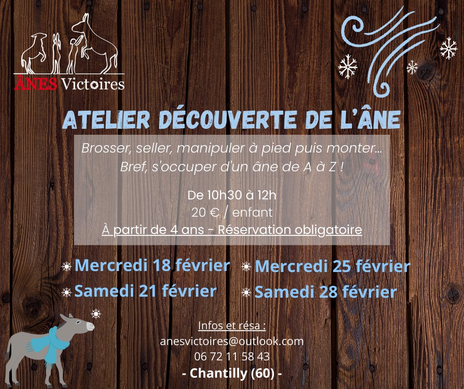 Atelier découverte de l&rsquo;âne à Chantilly