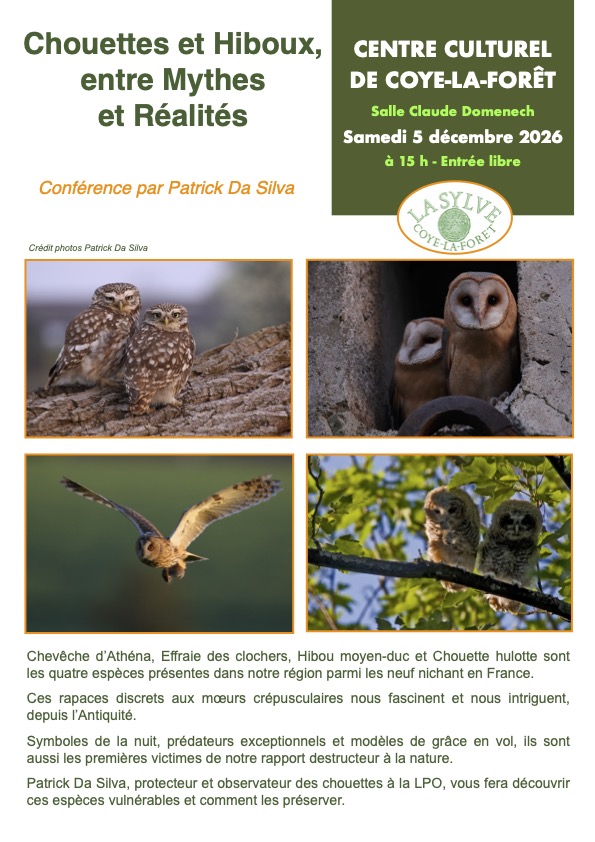 Conférence – « Chouettes et hiboux » par Patrick da Silva à Coye-la-Forêt