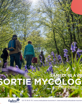 Sortie printanière en forêt d&rsquo;Halatte