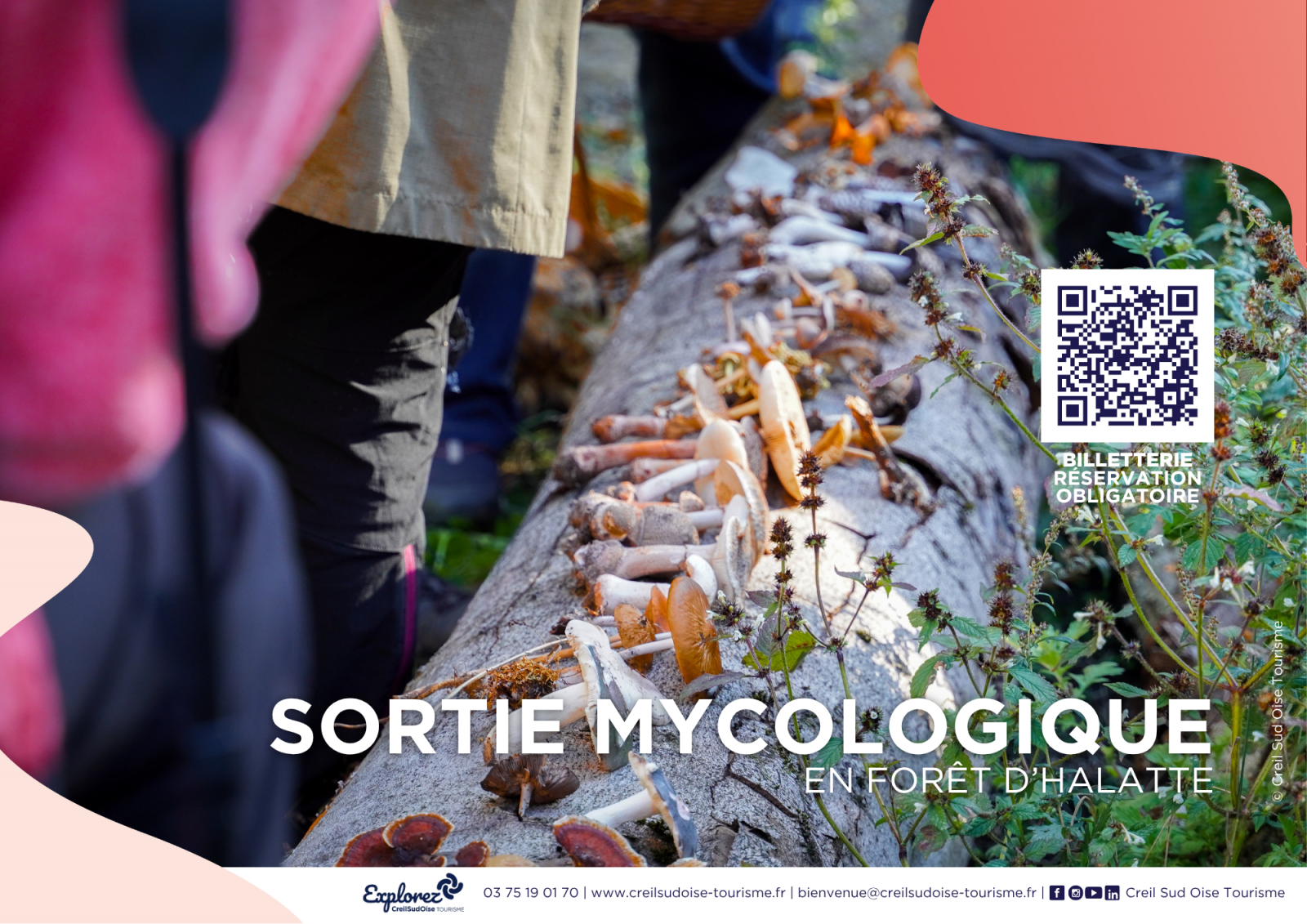 Sortie mycologique en forêt d&rsquo;Halatte