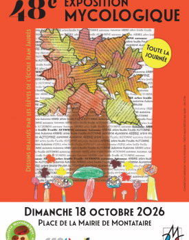 Exposition | 48ème édition de la Société Mycologique de Montataire