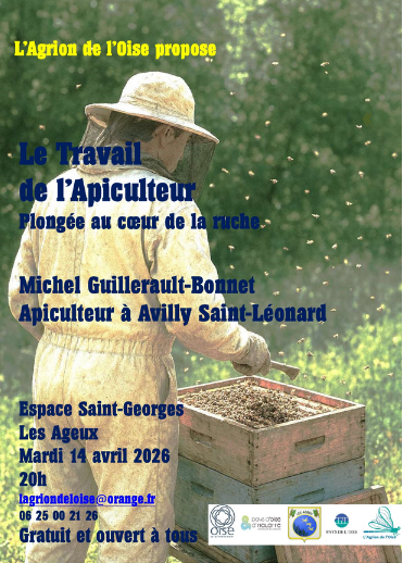 Plongée au cœur d’une ruche — et au cœur des menaces qui la frappent