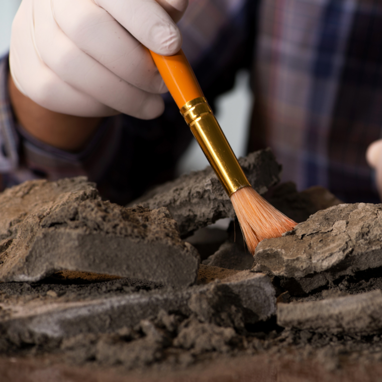 Mercredi en famille : l’archéologie