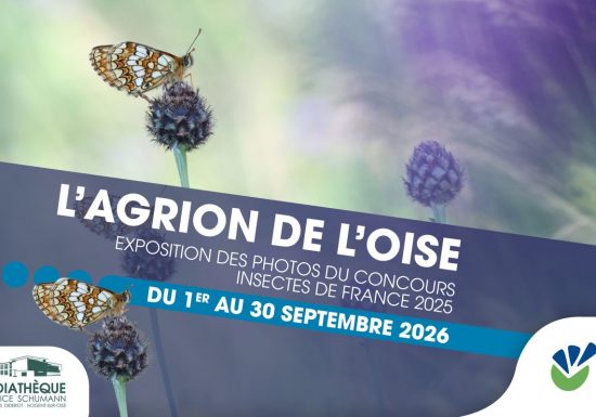 Exposition | Photo du concours  « Insectes de France 2025 »
