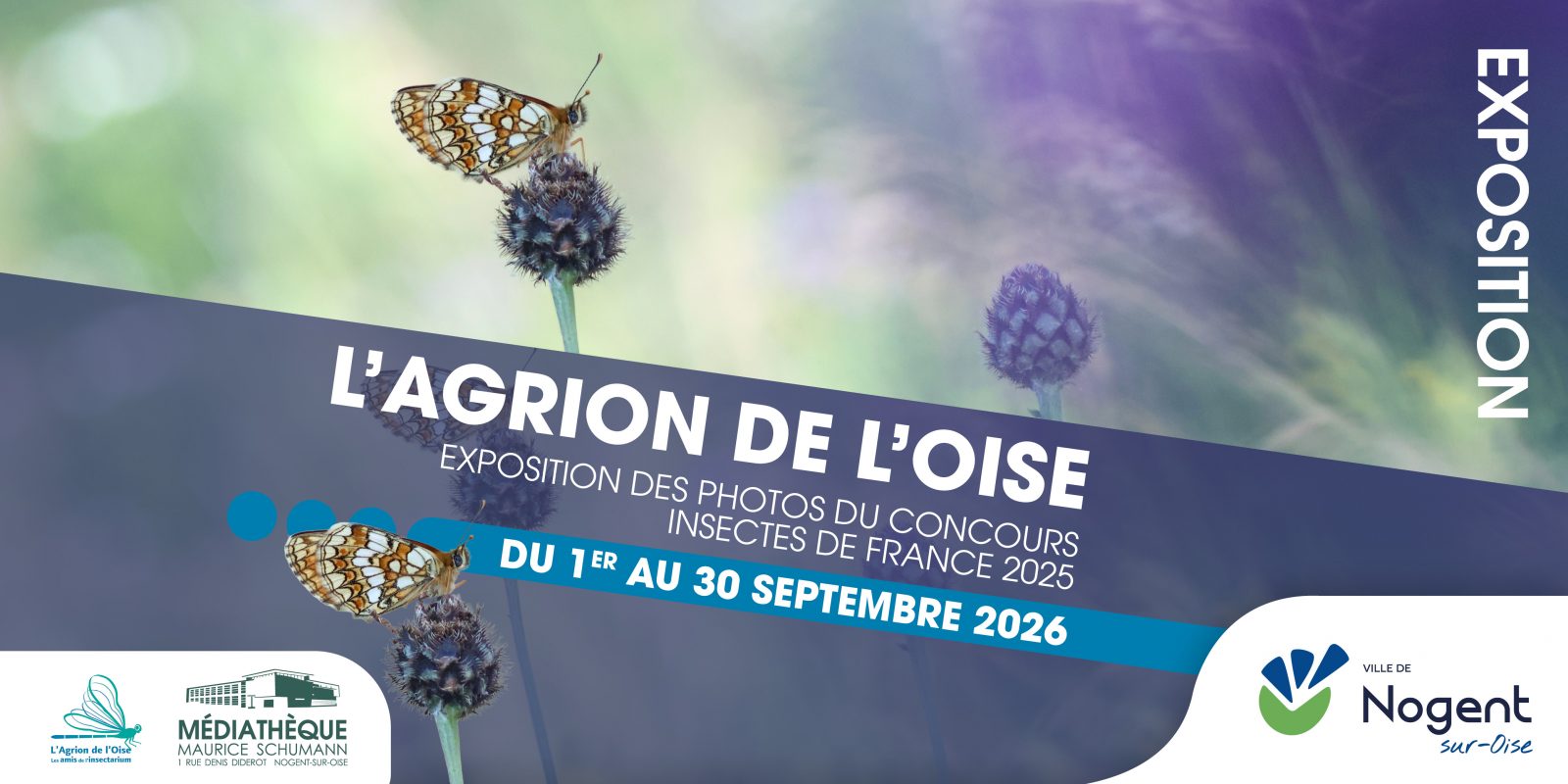 Exposition | Photo du concours  « Insectes de France 2025 »