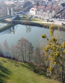 Berges de l’Oise à Saint-Maximin