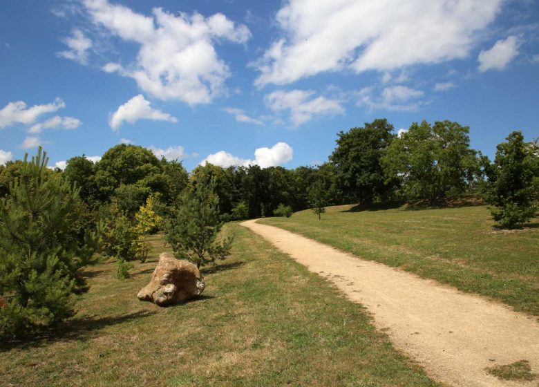 Bois Godart - Derechos de autor : Ville de Motataire - Jean-Louis Cormontagne