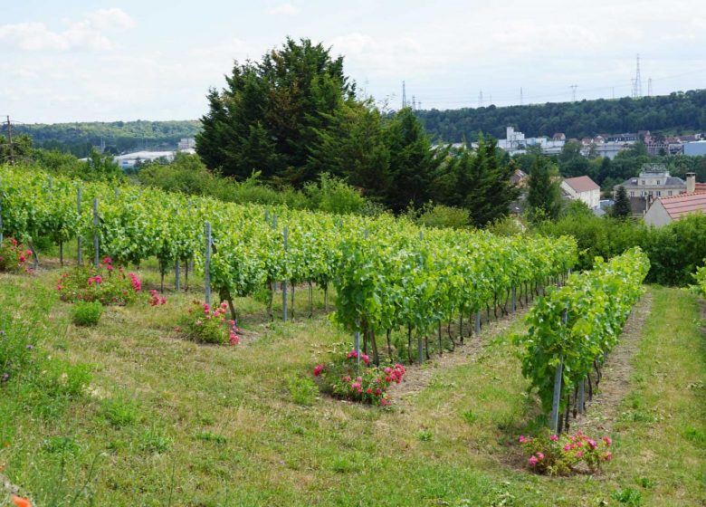 Bois Godart - Auteursrecht: Ville de Motataire - Jean-Louis Cormontagne