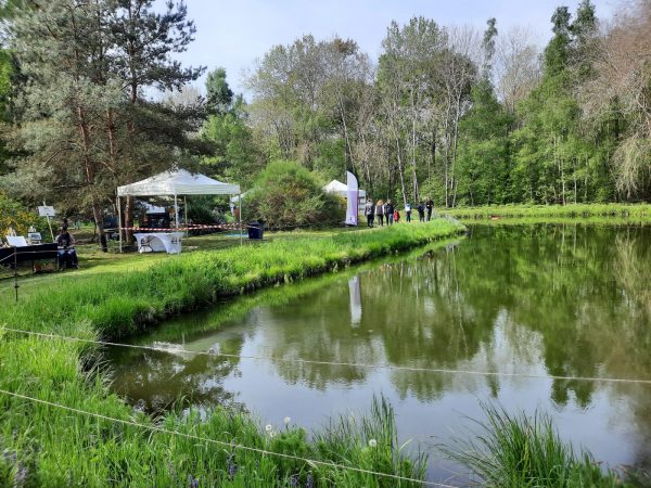 Les Estivales en folie à Sacy