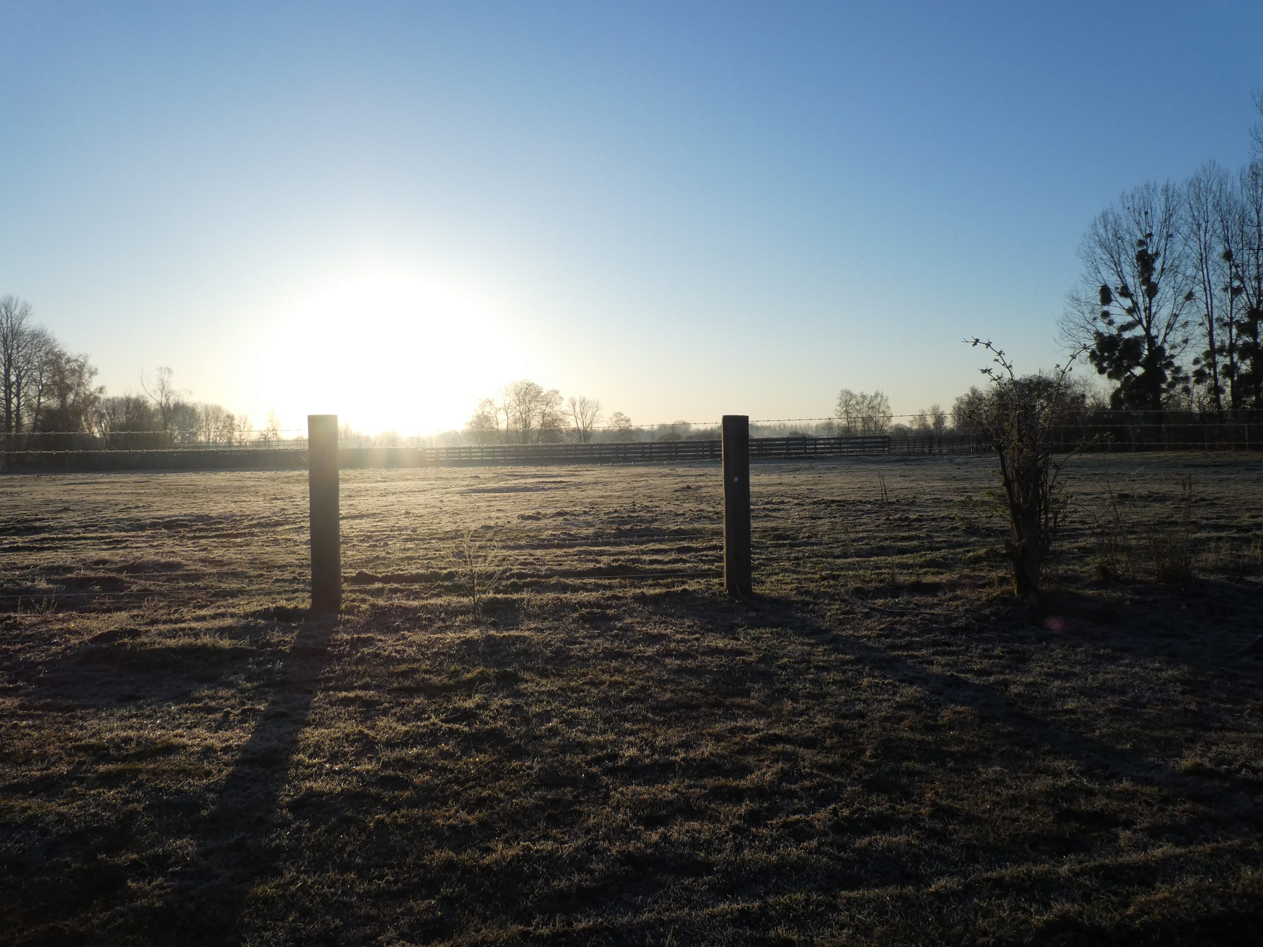 La vie nocturne du Marais de Sacy