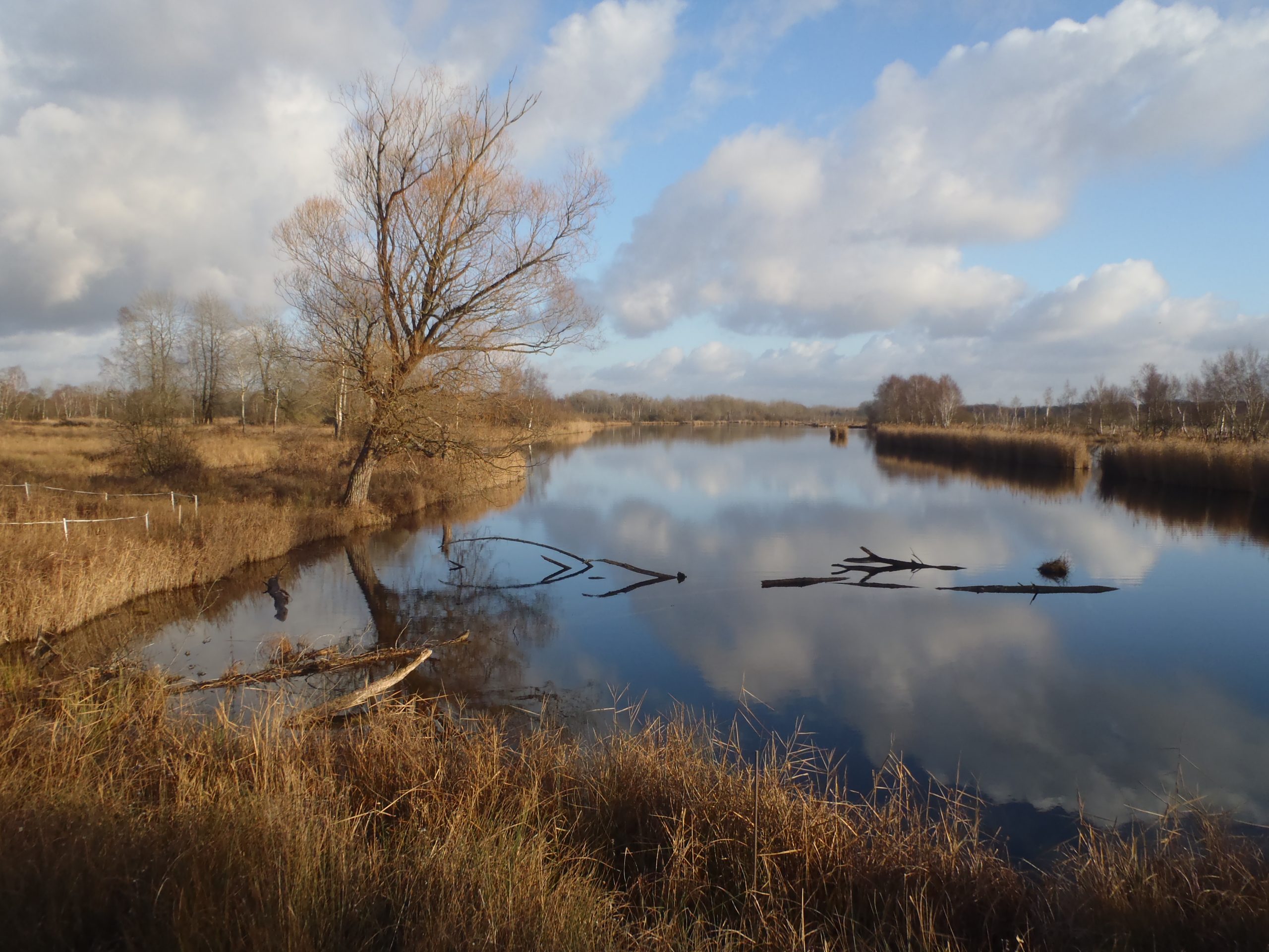 Un marais en automne