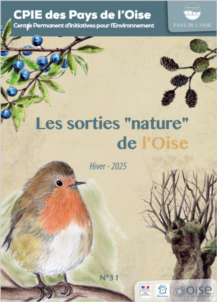 Sortie bryologique à Senlis