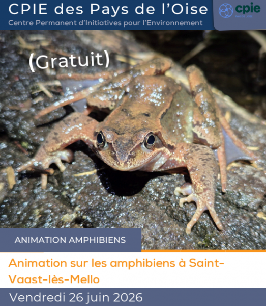 Sortie nature | Les amphibiens du marais Chantraine