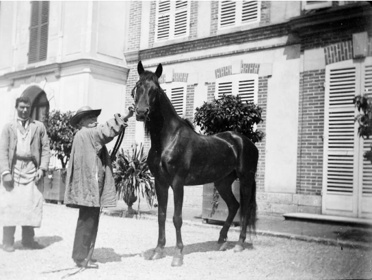 Exposition « Rosa Bonheur et le cheval » au Château de Chantilly