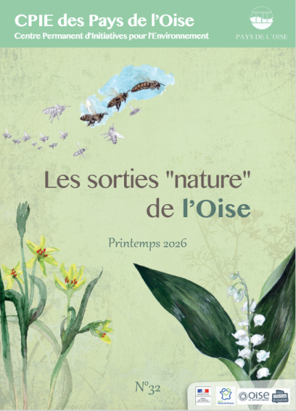 Sortie botanique sur le Mont Alta en Forêt d&rsquo;Halatte