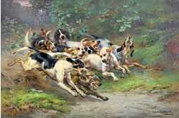 Visite indocile : « Chasse aux idées reçues sur le musée de la Vénerie »
