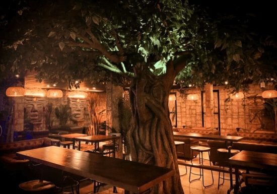 Halloween Night | Freeing Café