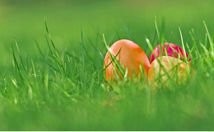 Chasse aux œufs aux Champs de mars