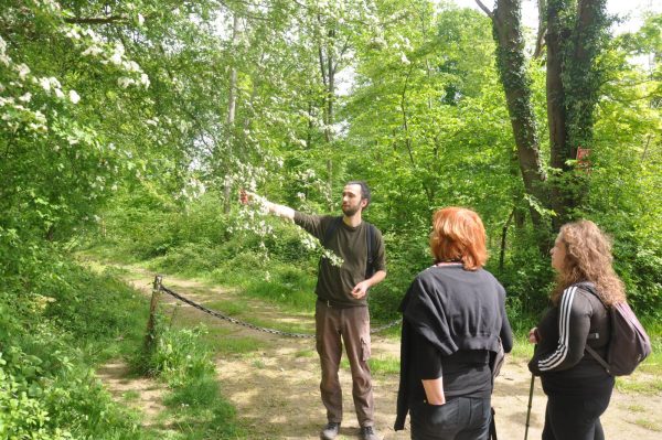 Journée champêtre en forêt d&rsquo;Halatte