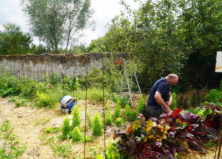 Ferme l’arbre à poule - Urheberrecht: Creil Sud Oise Tourisme - Tartaglione Anthony