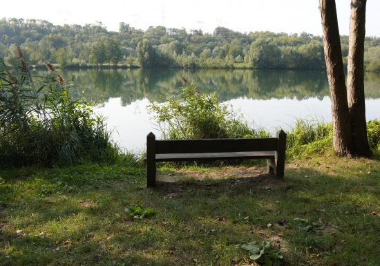 Parc urbain du prieuré