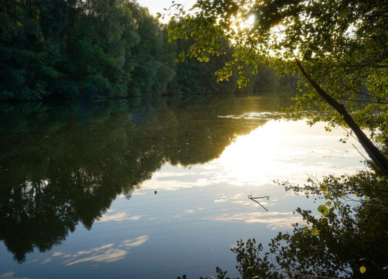 Etang de Thiverny - Derechos de autor : Office de Tourisme Creil Sud Oise_Anthony