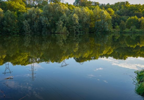 Etang de Thiverny