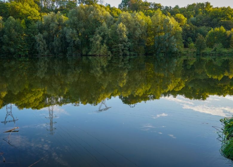 Etang de Thiverny - Derechos de autor : Office de Tourisme Creil Sud Oise_Anthony