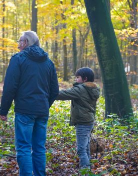 Mykologische Exkursion im Wald von Halatte