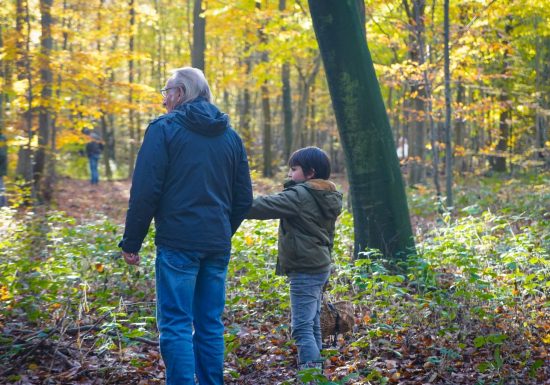 Mycologisch uitstapje in het bos van Halatte