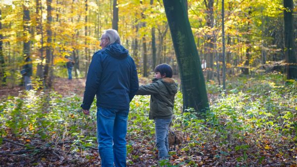Sortie mycologique en forêt d’Halatte