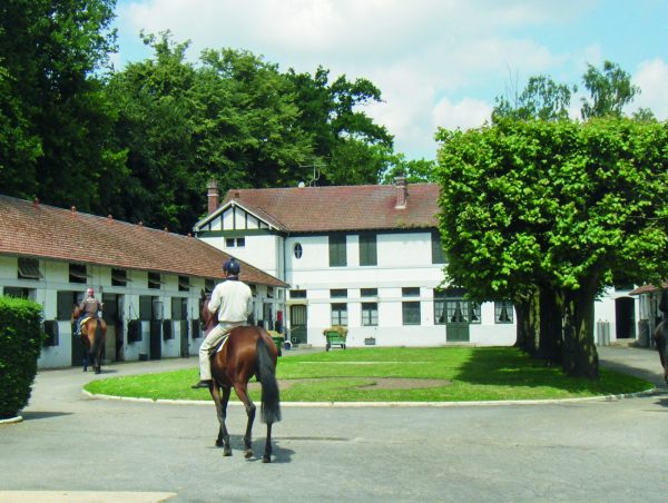 Visite guidée « Les écuries de courses et les secrets de l’entraînement hippique à Chantilly »