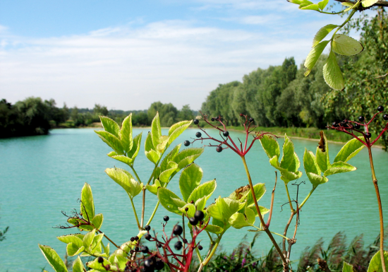 Teich Sainte-Barbe